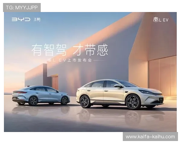 凯发一触即发官网：客户服务与技术支持保障玩家权益的重要措施