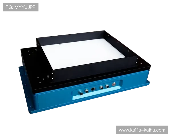 凯发K8电竞技术支持与客户服务：全天候专业团队为你解决各种游戏问题