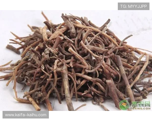 如何在凯发旗舰厅注册平台顺利完成账号注册流程详细解析